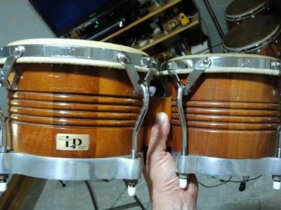 2012-12-05_19.12.11bongo.jpg