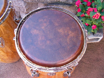 2008 03 31 002.jpg
