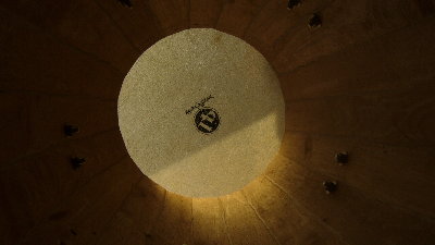 LP handpicked from underneath.JPG
