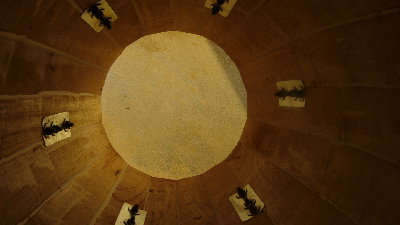 Water buffalo thick from underneath.JPG