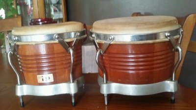 LP Mahogany Bongos.jpg