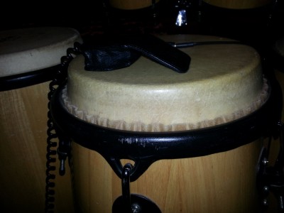 Conga2.jpg (1.73 MiB) Viewed 6669 times Conga2.jpg