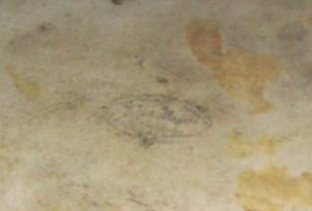 CLOSE LOGO.JPG