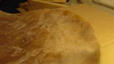 Hairy patches 2.JPG