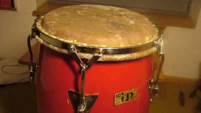 Cuban cow skin on  LP Palisades Park Quinto.JPG