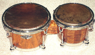 bongo 1.jpg