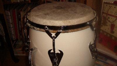 Matador w Cuban cow skin2.JPG