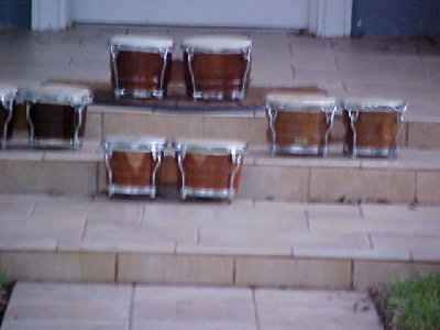 Bongo Cubano Mario 4.jpg