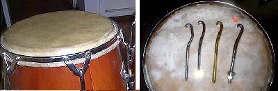 conga chs.jpg