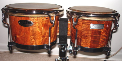 bongos.jpg