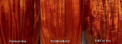 koa3swatch-lrg.jpg