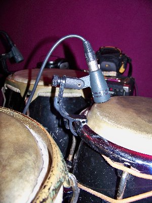 100_0117.jpg