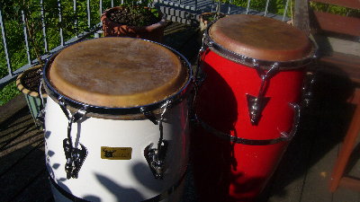 Matador and LP Palisades fiberglass.JPG