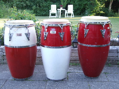 DSCF1509.JPG