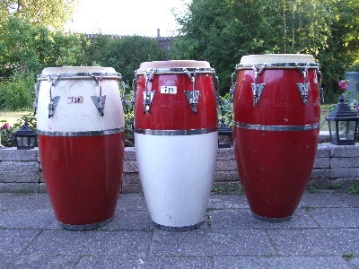 DSCF1514.JPG