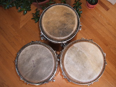 DSCF1197.JPG