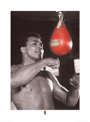 muhammed ali speed bag.jpg