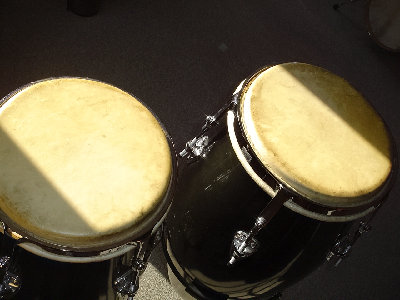 A King Conga5.jpg
