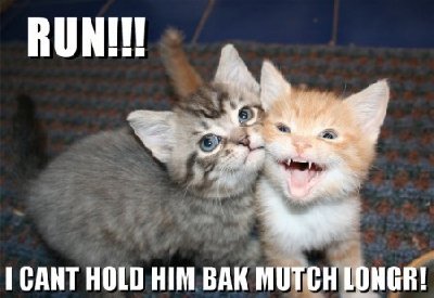 Lol-catz-animal-humor-8906841-450-309.jpg
