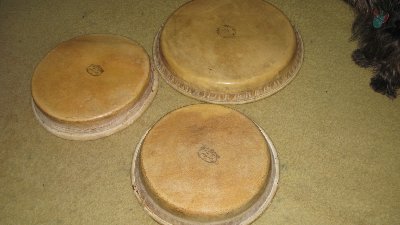 heads 3.jpg