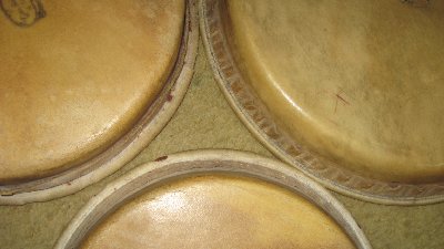 heads 2.jpg