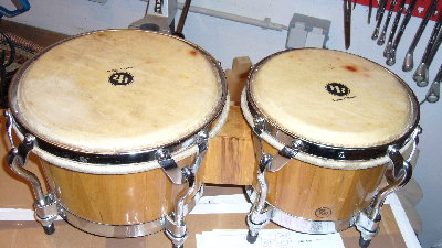 Bongo.JPG