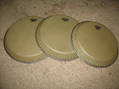 REMO heads 004.JPG