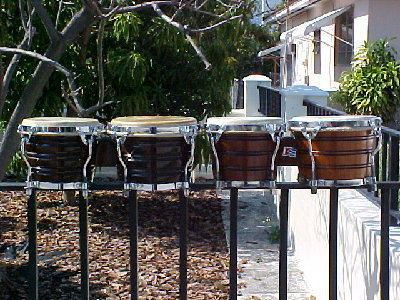 Junior Bongos.jpg