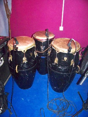 100_0110.jpg