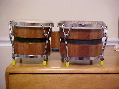 Little Giant1.jpg