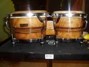 JC BONGOS.jpg