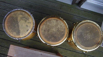 3 quintos from above.JPG