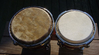 Raul bongó w new skins1.JPG