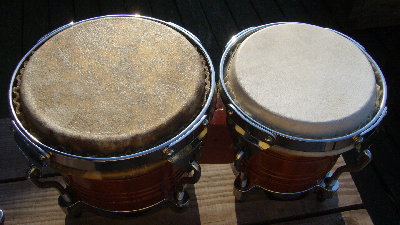 new skins closeup.JPG