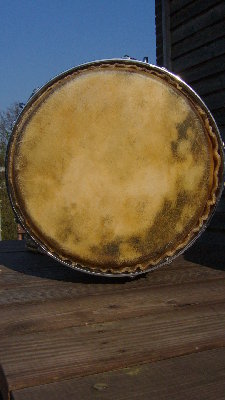cow skin on Gon Bops conga.JPG