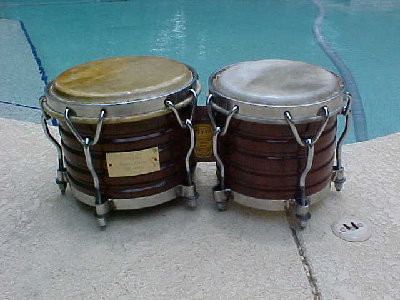 Bongo Ismael 1.jpg