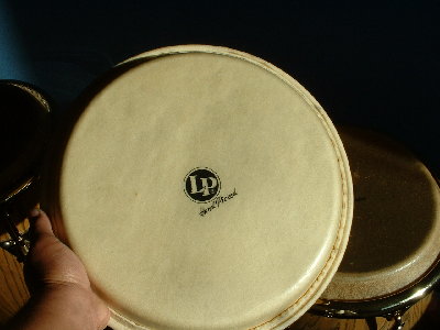 DSCF0312.JPG