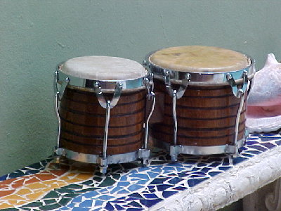bongo Ismael.jpg