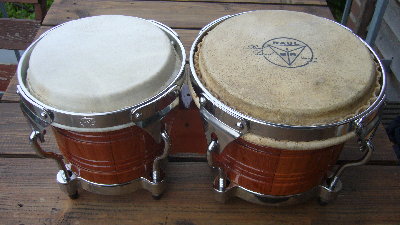 Original skin on hembra.JPG