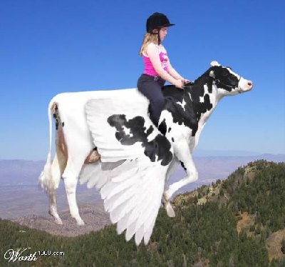 FlyingCow.jpg
