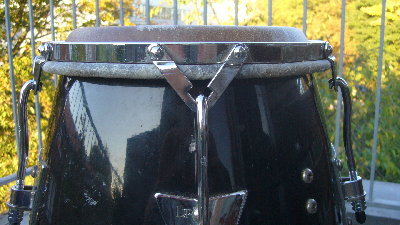closeup.JPG