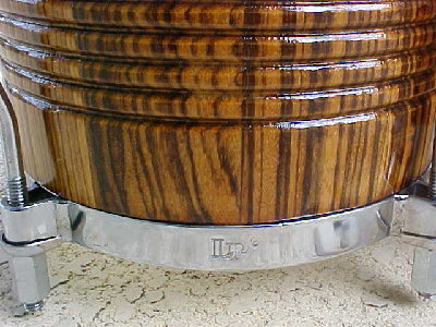 LP Zebra 1.jpg