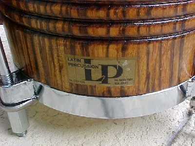 LP Zebra 2.jpg