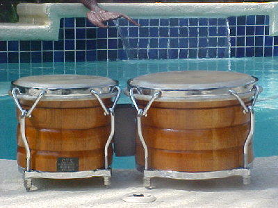 Charlie Vega bongos.jpg