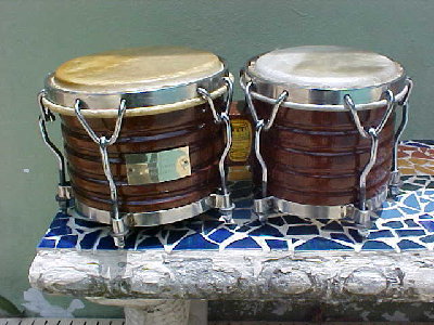 Bongo Ismael 2.jpg