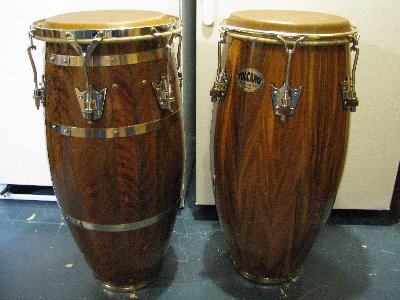 Congas Volcano Ohia and Monkeypod Woods.jpg