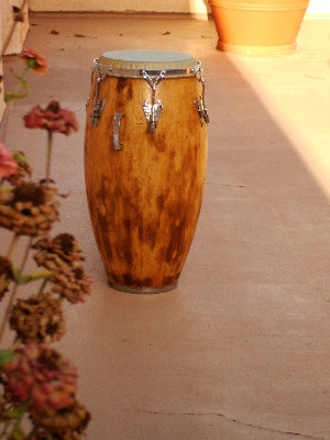 DSC00021.JPG