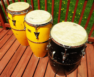 conga 3.jpg