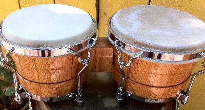 bongos.jpg (543.46 KiB) Viewed 4534 times bongos.jpg