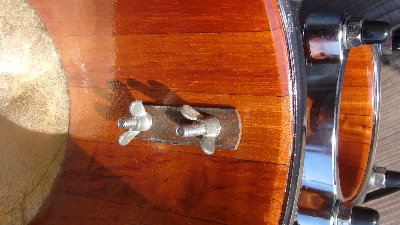 inside plate.JPG